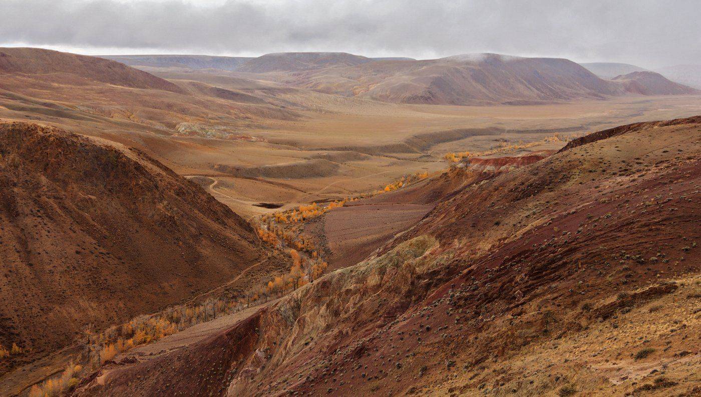 , Дмитрий Д.