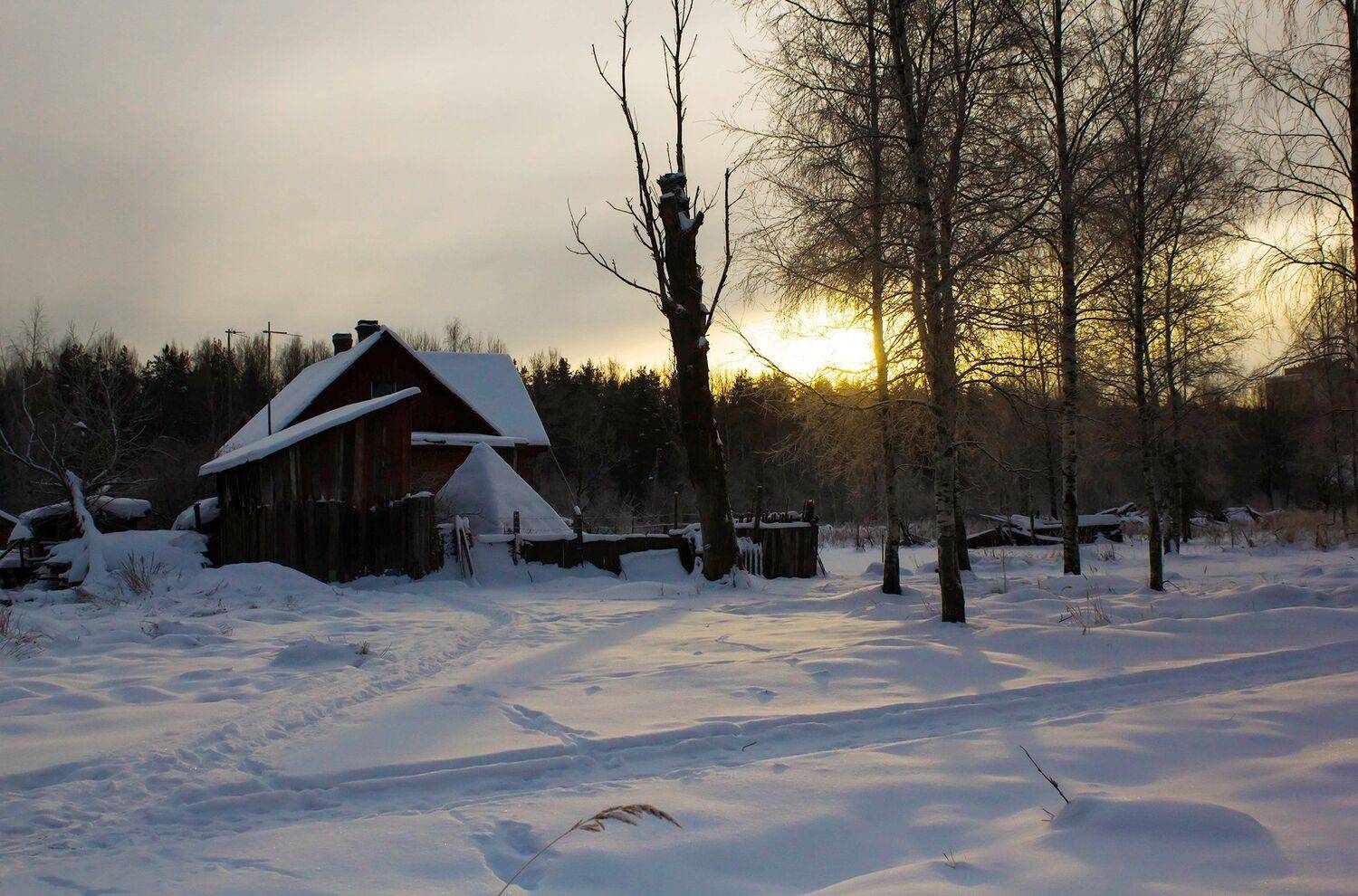 , Алексей Герасимов