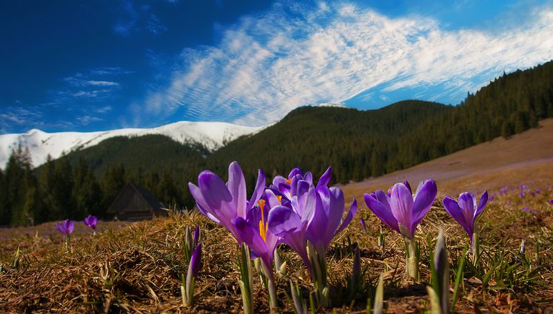 Valley фото превью