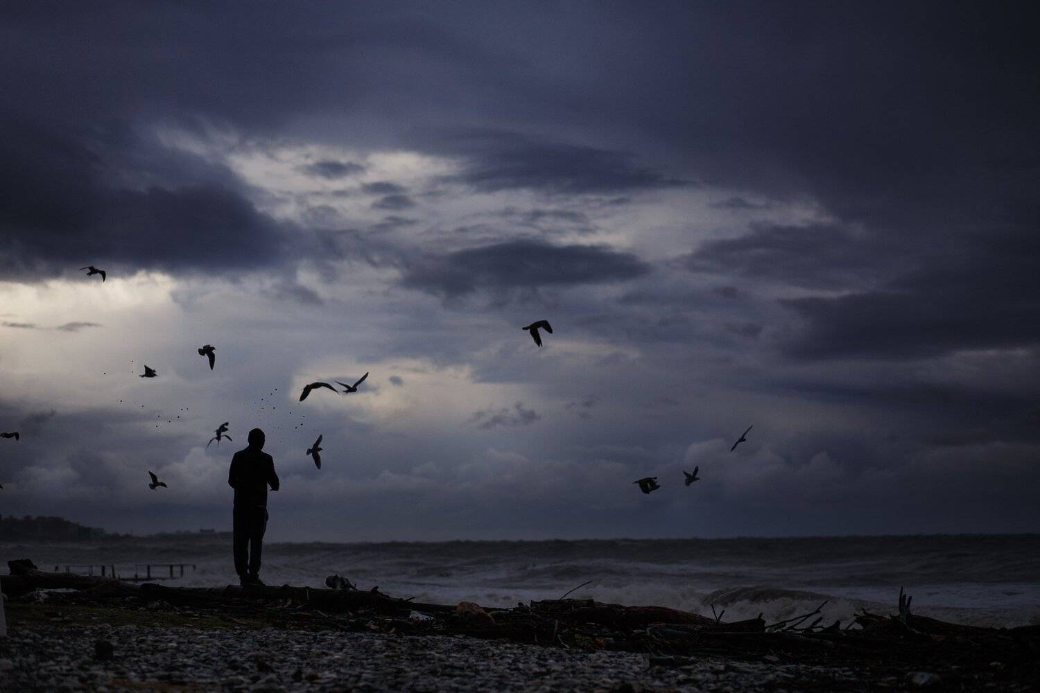 море сочи шторм облака чайки, Наталья Санникова