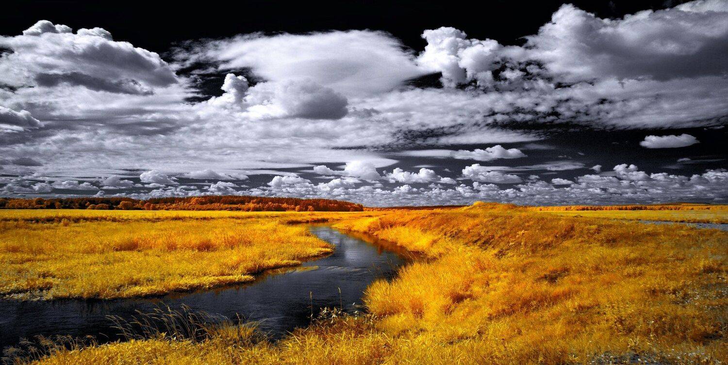 , Sixten ( Сергей )