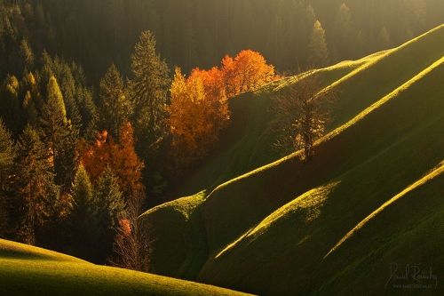 Alpine autumn waves