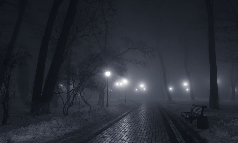 холод, ночь, туман, парк, снег Стирались чёткие черты... фото превью