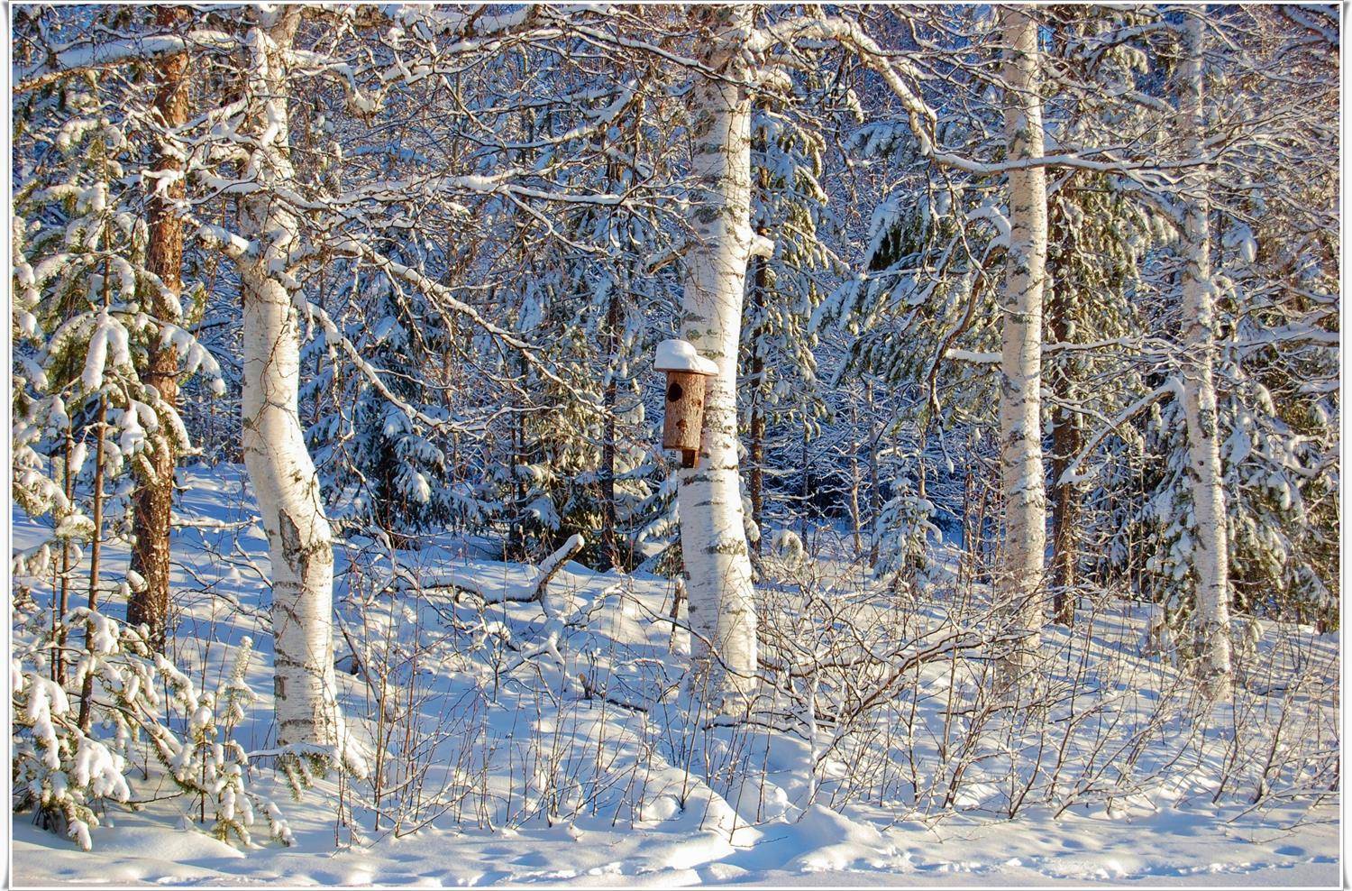 швеция, Lapland