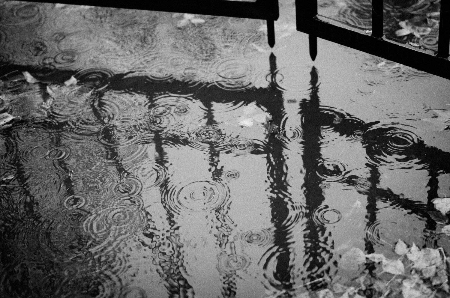 rain, bw, reflection, Aleksei Kurlov