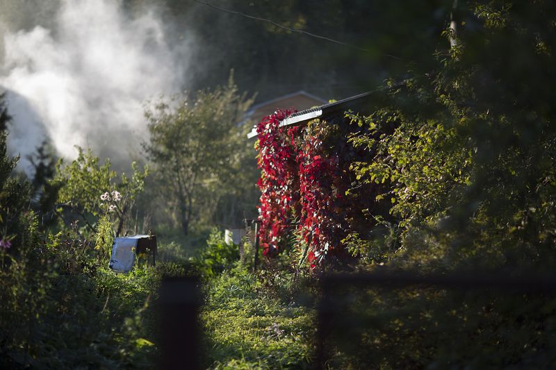 Была осень фото превью