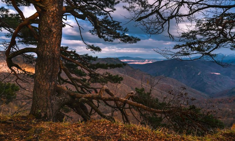Жить на краю фото превью