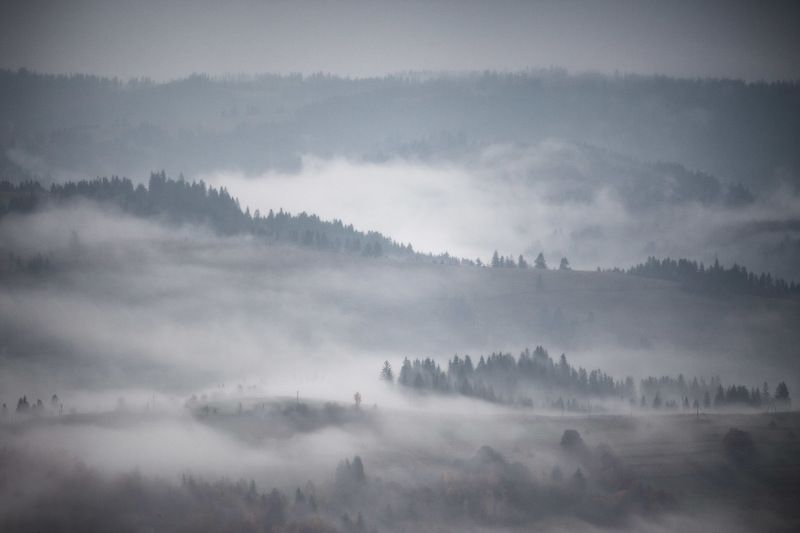 горы, дождь, карпаты, октябрь, осень, туман, утро Утро седое фото превью