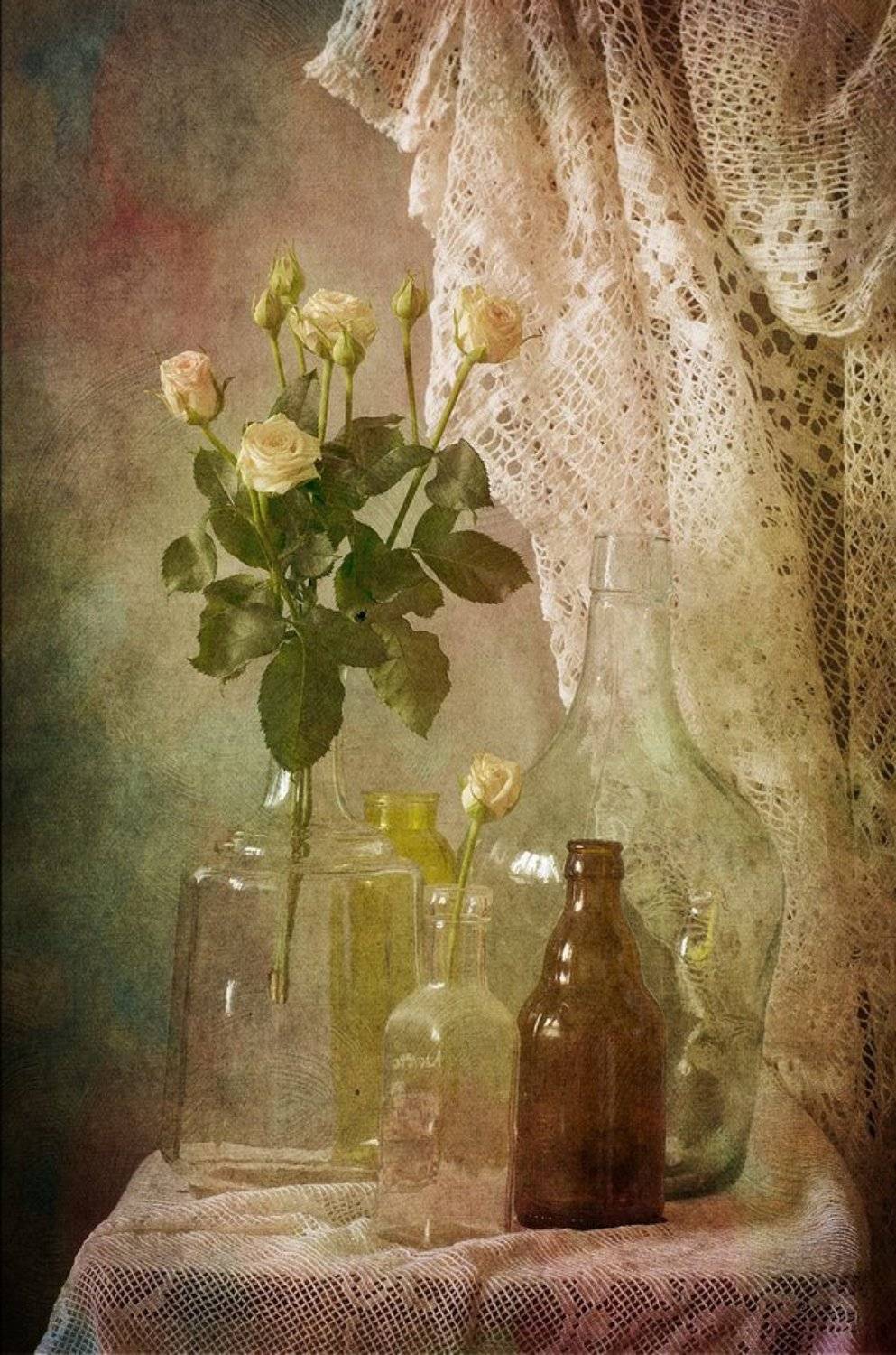 , Синегубова Ольга