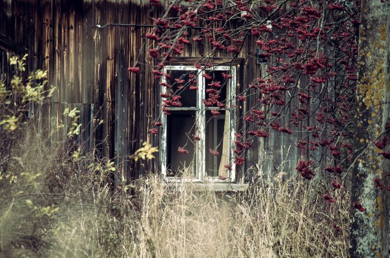 Ноябрь на севере России фото превью