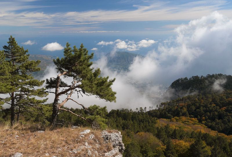 Октябрь...... фото превью