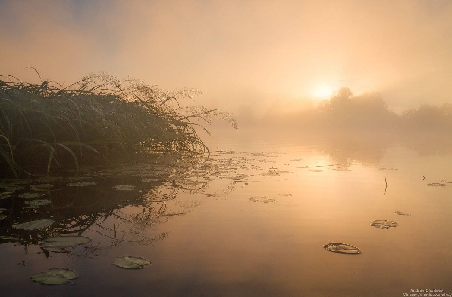 дубна, наукоград, подмосковье, россия, пейзаж, пейзажи, вода, солнце, отражение, рассвет, красота, природа, весна, погода, canon dubna, naukograd, moscow, russia, landscape, water, sun, reflection, dawn, beauty, nature, spring, weather, Андрей Олонцев