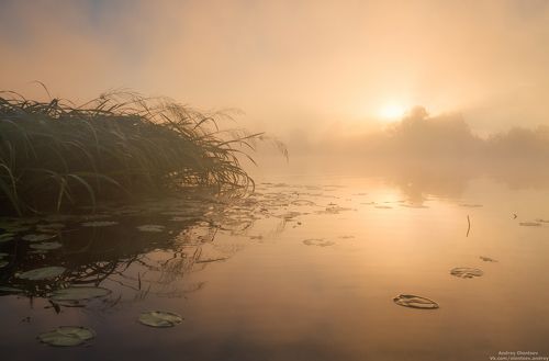 Ласковое утро.