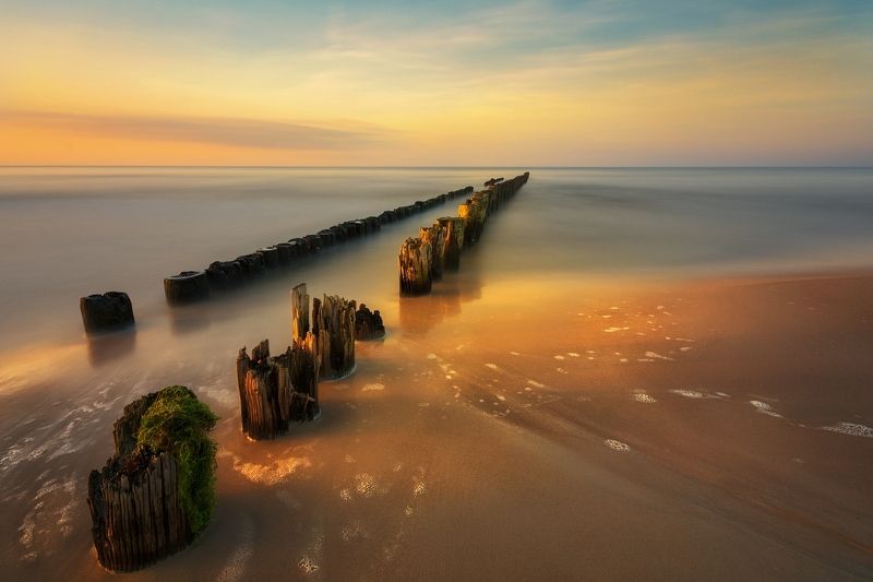 Baltic pegs фото превью