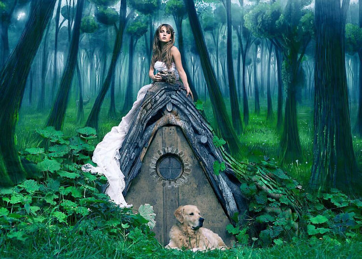 Фэнтази, сказка, домик, сказочный, лес, ретривер, собака, окошко, листья, охранник, Дарья Комарова