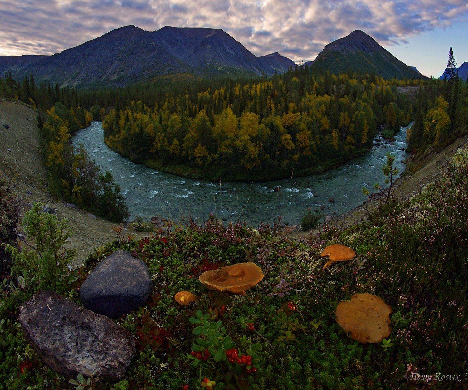 кунийок, хибины, мурманская, область, осень, Петр Косых
