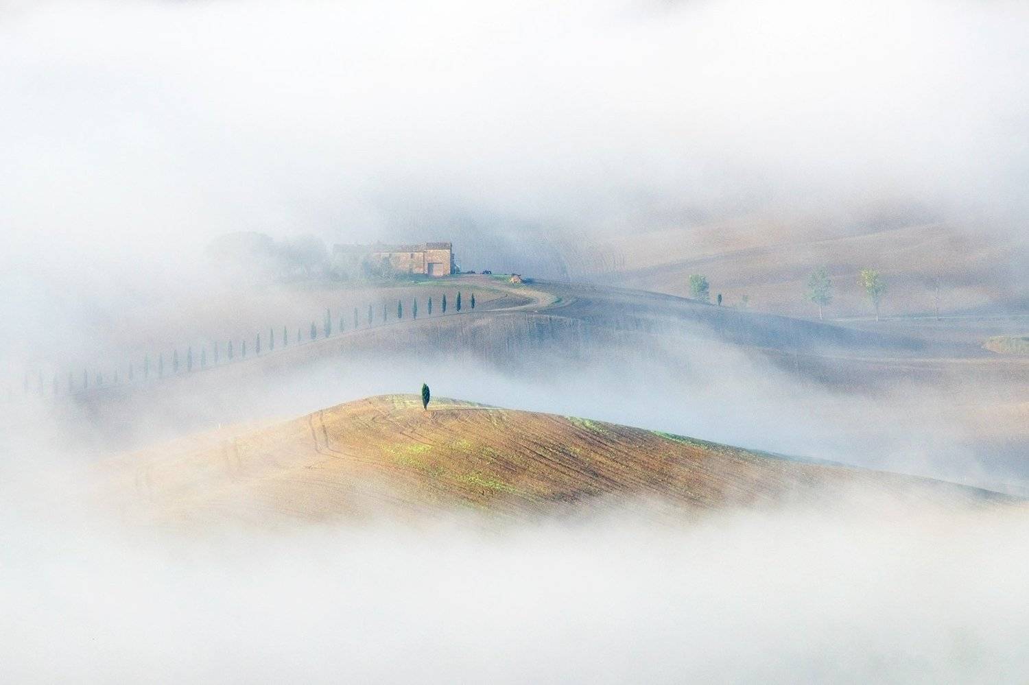 тоскана, италия, italy,tuscany, туманы тосканы, landscapesfog, valdorcia, toscana, landscapesoftuscany, fog, Ефименко Татьяна