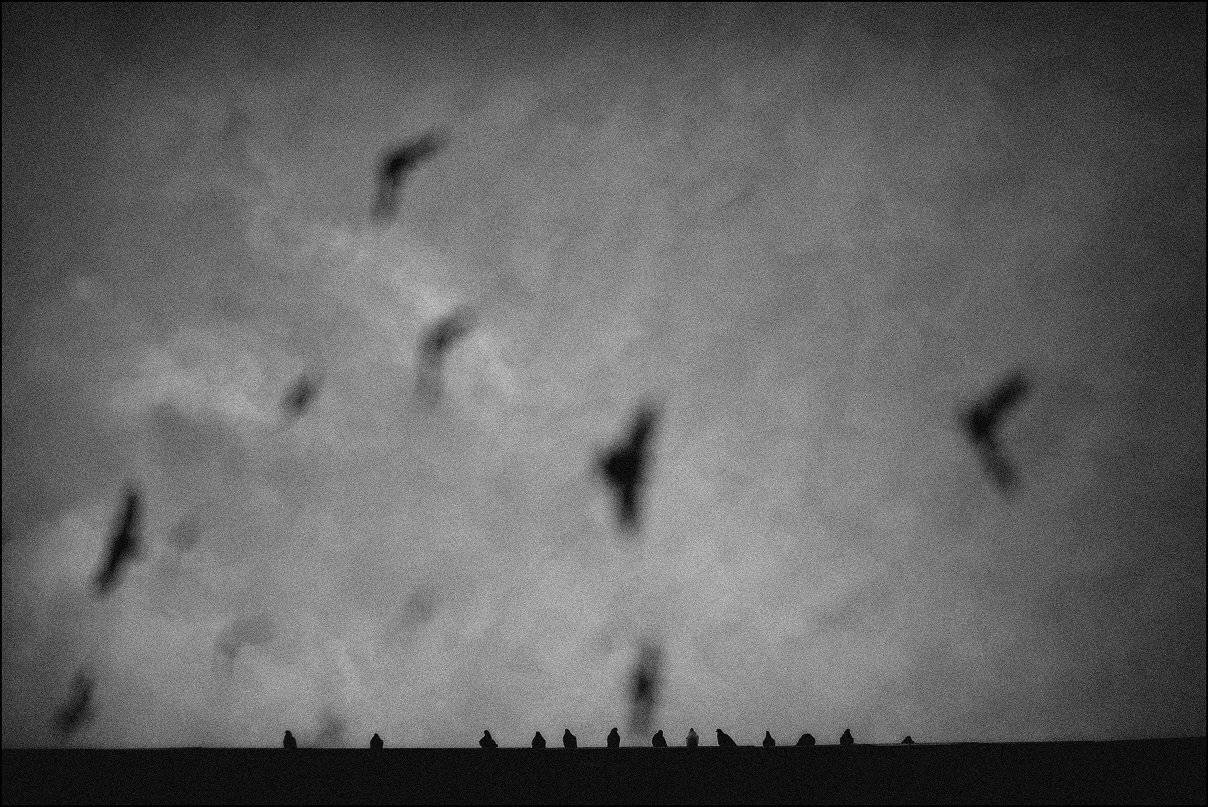 , Krzysztof Trojanowski