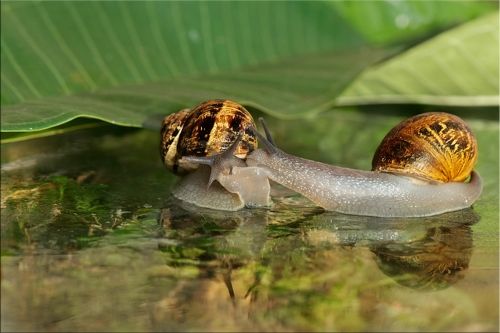 Не искушай...