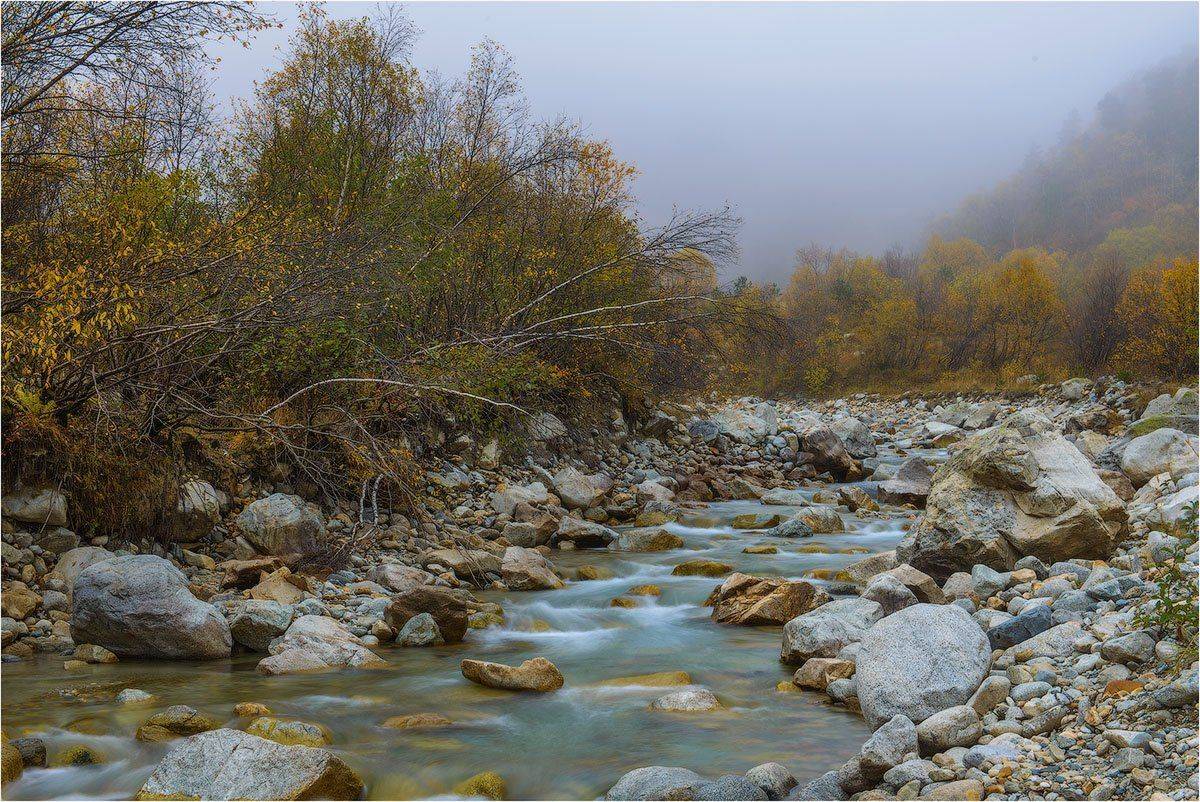 Таймази, трисестры, Урух, осетияЮ, алания, осетияалания, дигорское, кутыгин, золотая, осень, золотаяосень, россия, , Кутыгин Эдуард