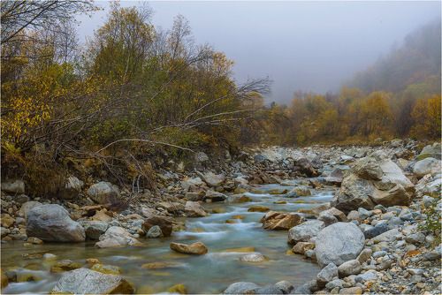 Золотая осень