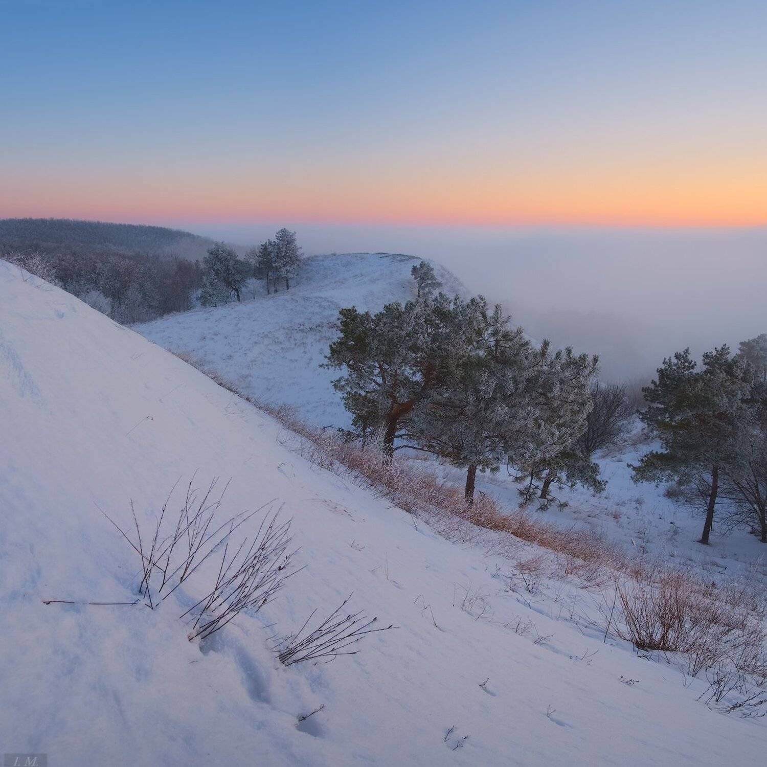 evening, fog, Landscape, light, nature, snow, sunset, Ukraine, white, winter, вечер, закат, зима, мороз, пейзаж, природа, свет, снег, сосны, сумерки, туман, Украина, холмы, hills, trees, colors, twilight, I'M