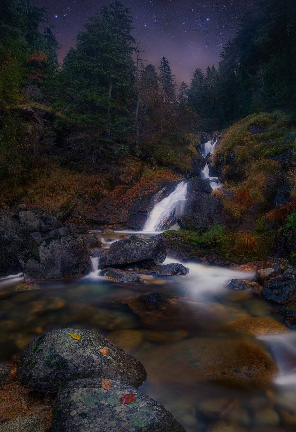 , Борислав Попов