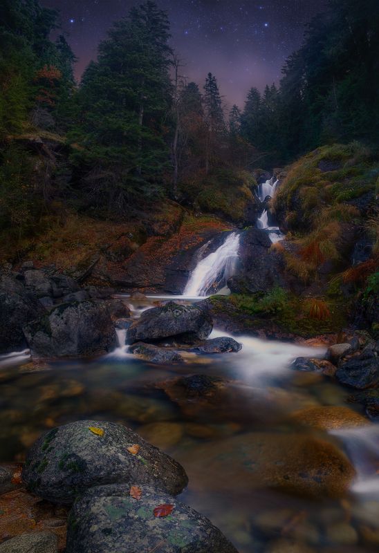 В земята на мечтите фото превью