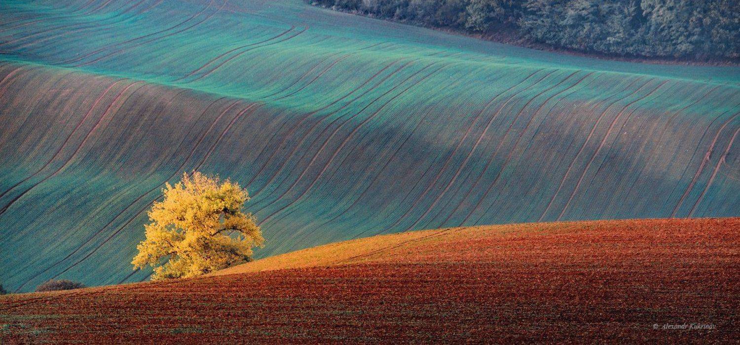пейзаж, осень, моравия, Александр Кукринов