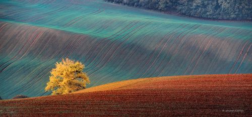 Осенняя Моравия...