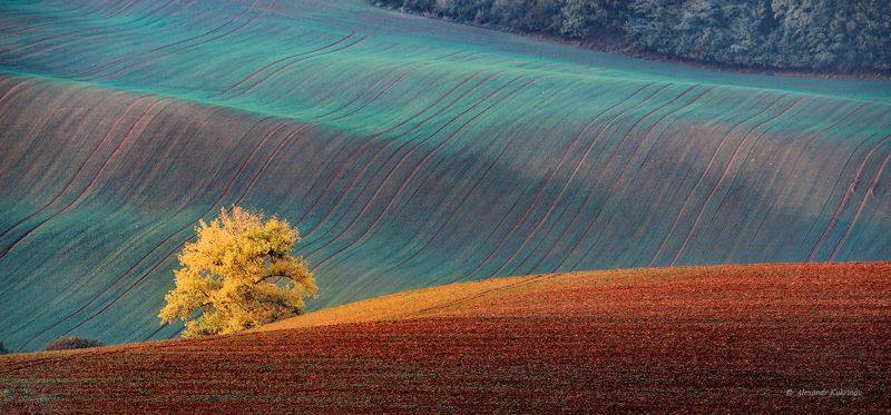 пейзаж, осень, моравия Осенняя Моравия... фото превью