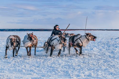 «Края оленьих троп»