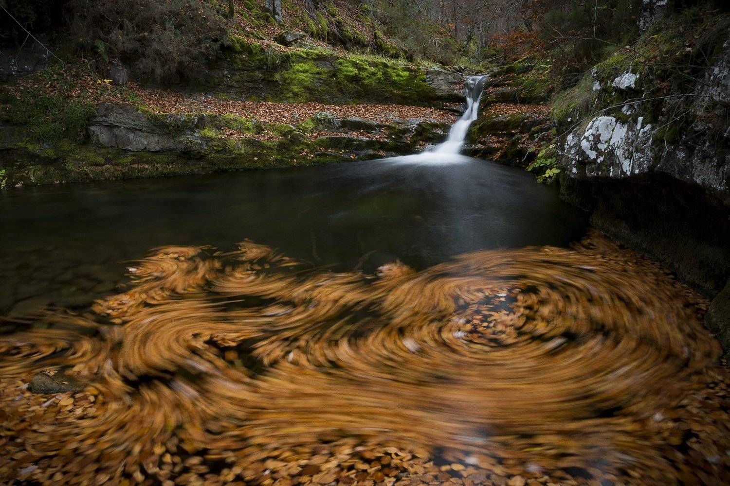 , Antonio Cantabrana