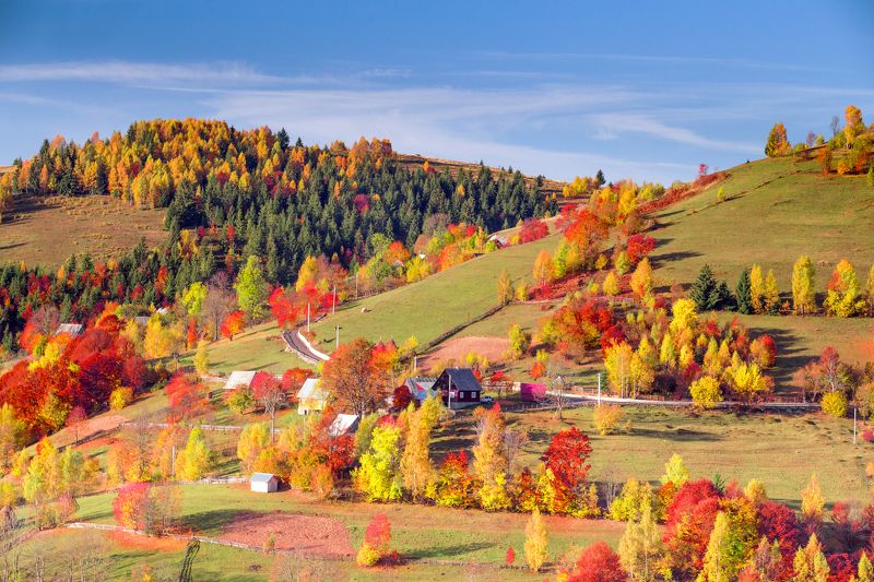 autumn,fall,colors,trees,hills,romania,apuseni,life Colors of the fall фото превью