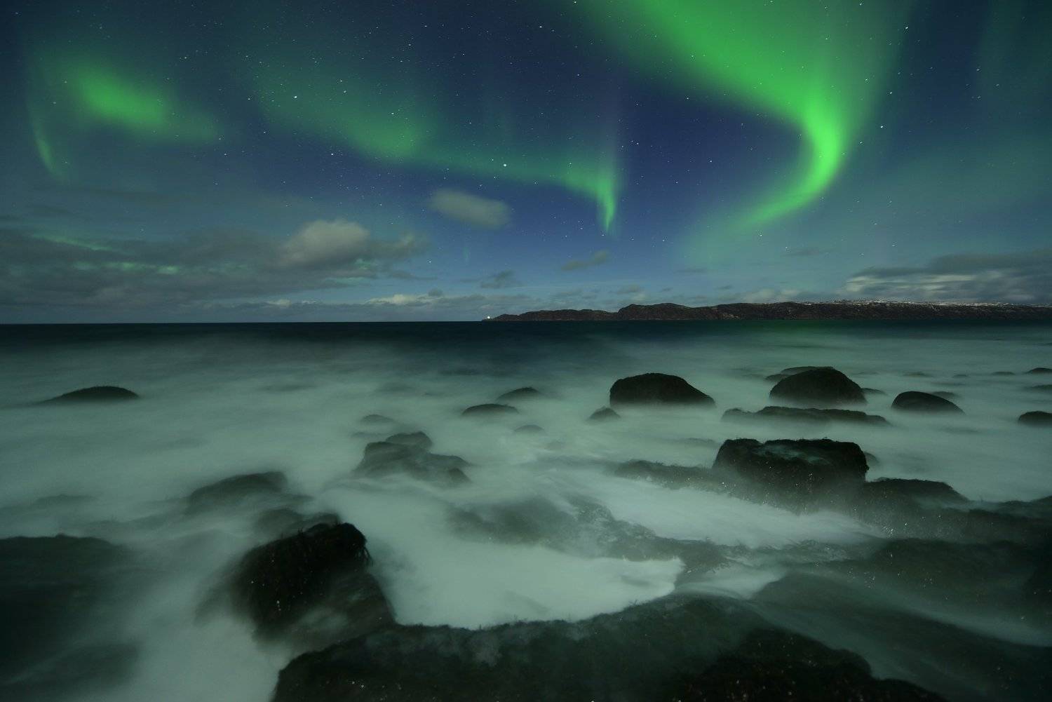 , Максим Евдокимов (www.wildphotorus.ru)