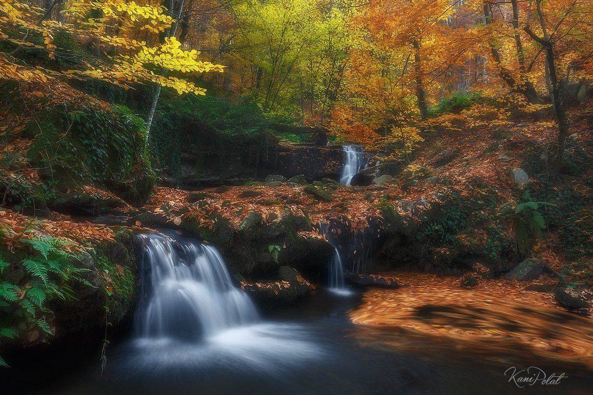 , Kani (kanipolat.com) Polat