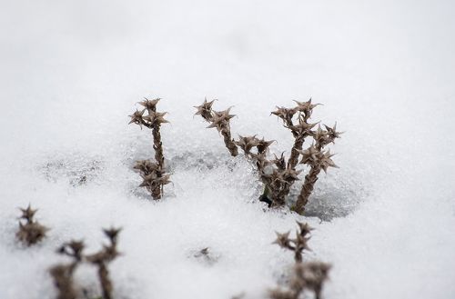 Pro осенние трансформации