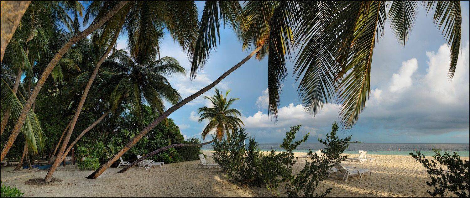 , Андрей Шумилин