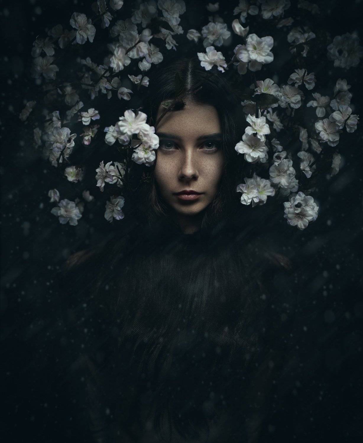 , Шевченко Юрий