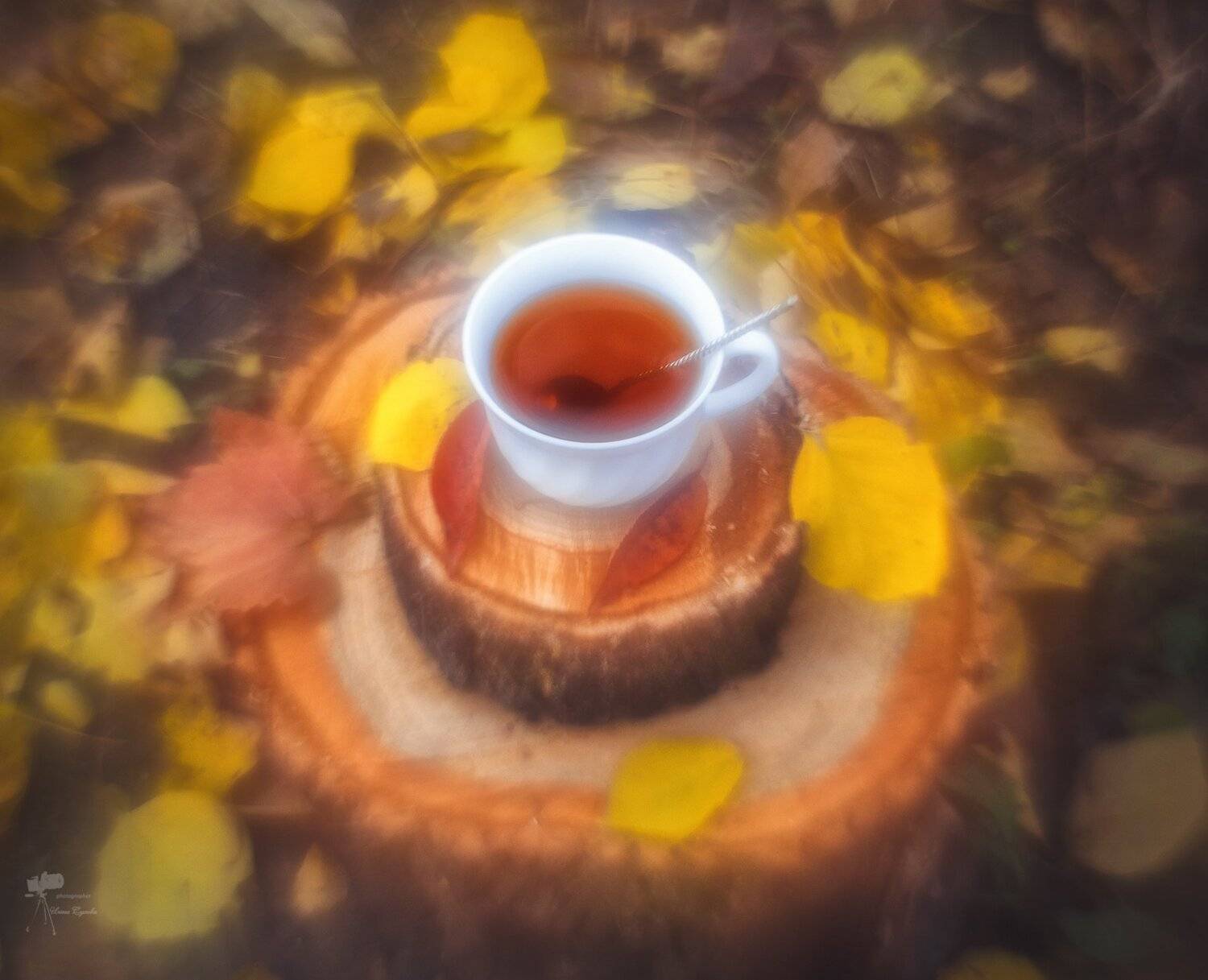 , Инна Сухова