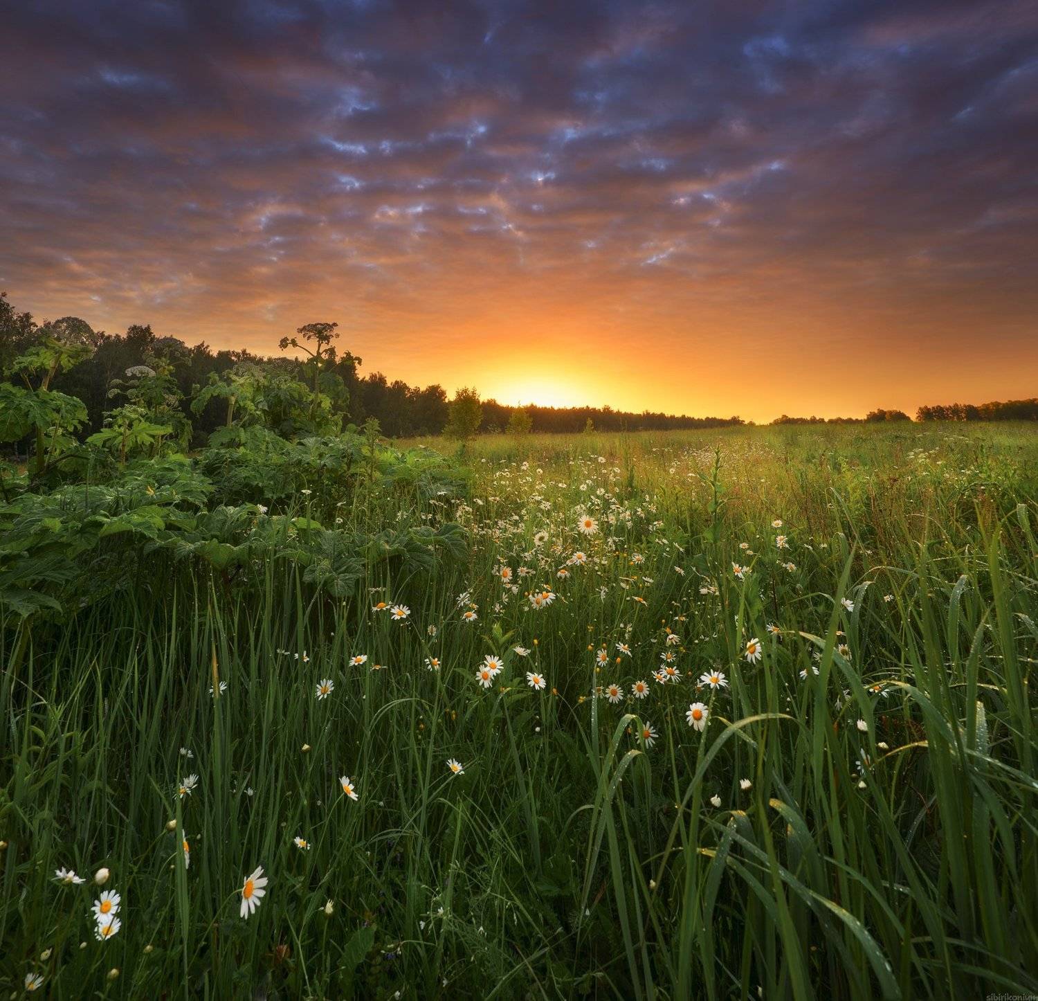 пейзаж красота утро никон, Морозов Юрий