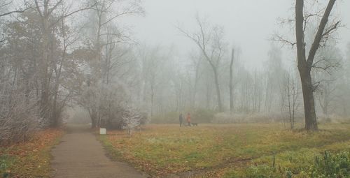 ИЗМОРОЗЬ И ТУМАН