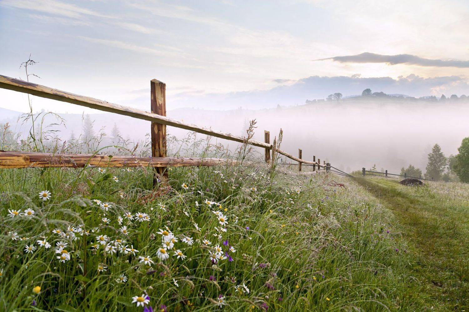 , Юлия Рублевская