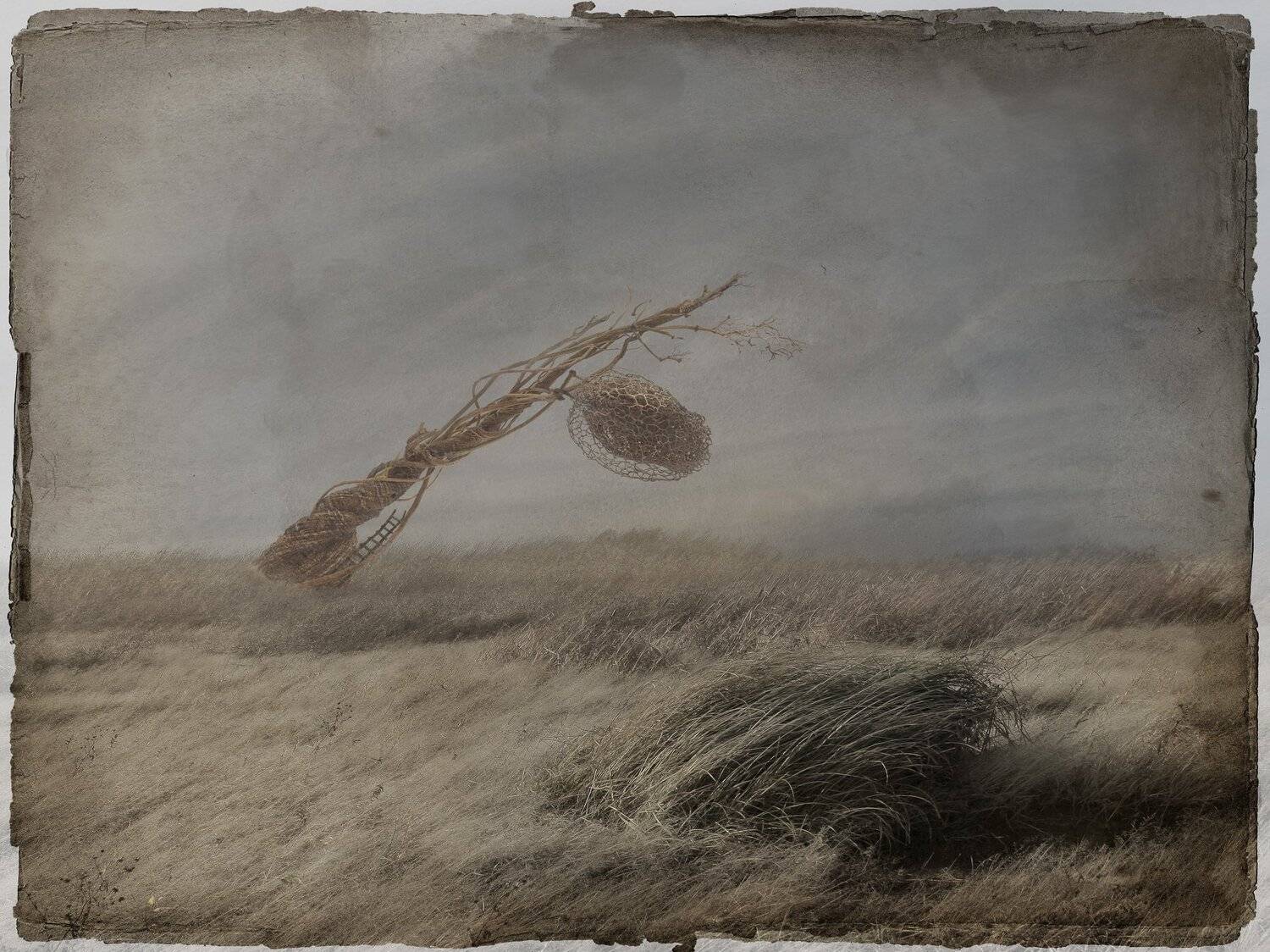 , Виктор Кириллов