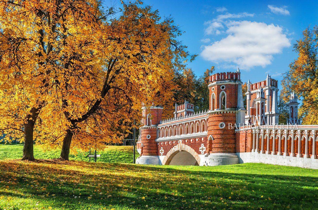 москва, царицыно, фигурный мост, Юлия Батурина