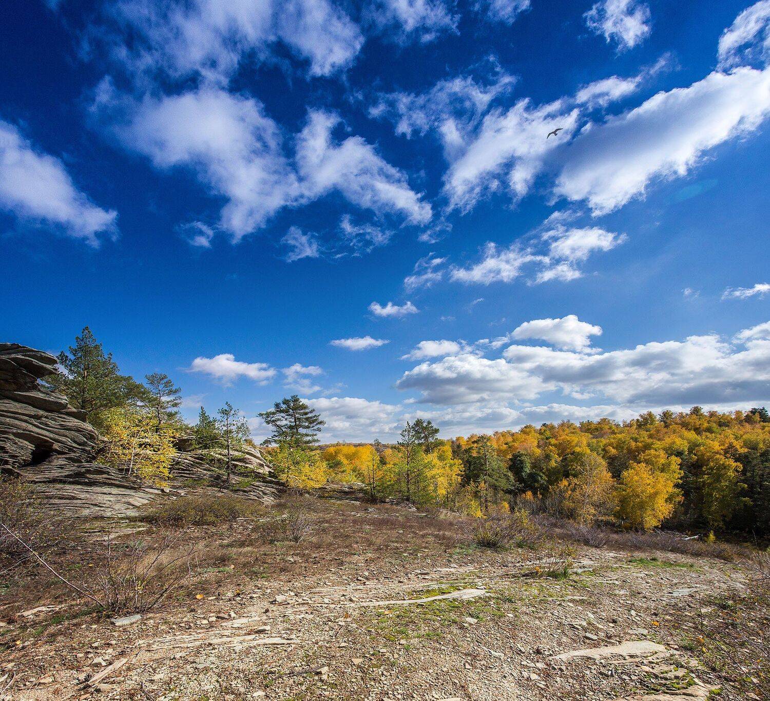 , Качурин Алексей