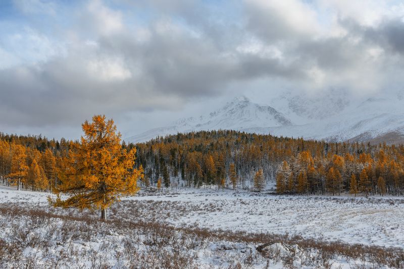 Алтайские мотивы. фото превью