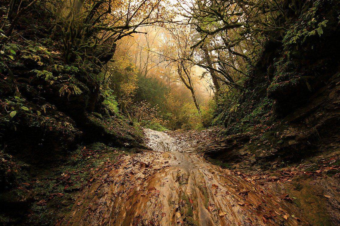 , Иваненко Светлана