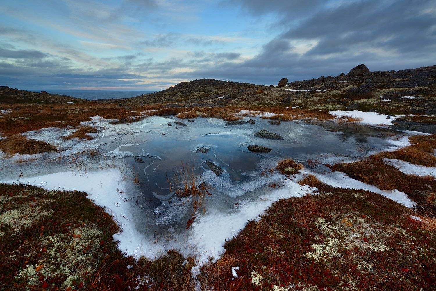 , Максим Евдокимов (www.wildphotorus.ru)