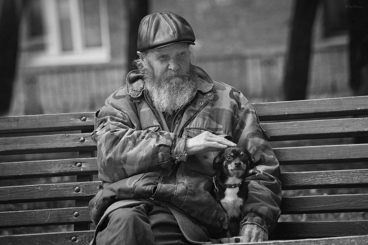 мужчина,собака,скамейка,жанр,улица,город, Roma  Chitinskiy